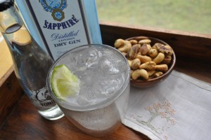 ultimate gin and tonic