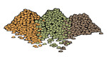 Lentils3mc_color475 Lentils3mc_color475