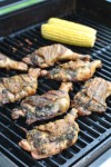 Chicken Chicken