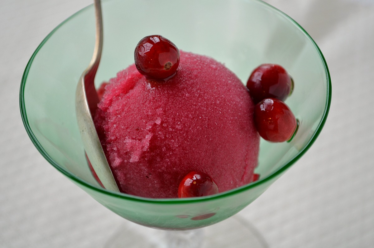 Cranberry, Rosemary &amp; Gin Sorbet — Three Many Cooks