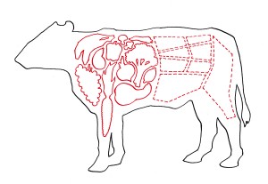 CarnivorousVegetarian_Red900