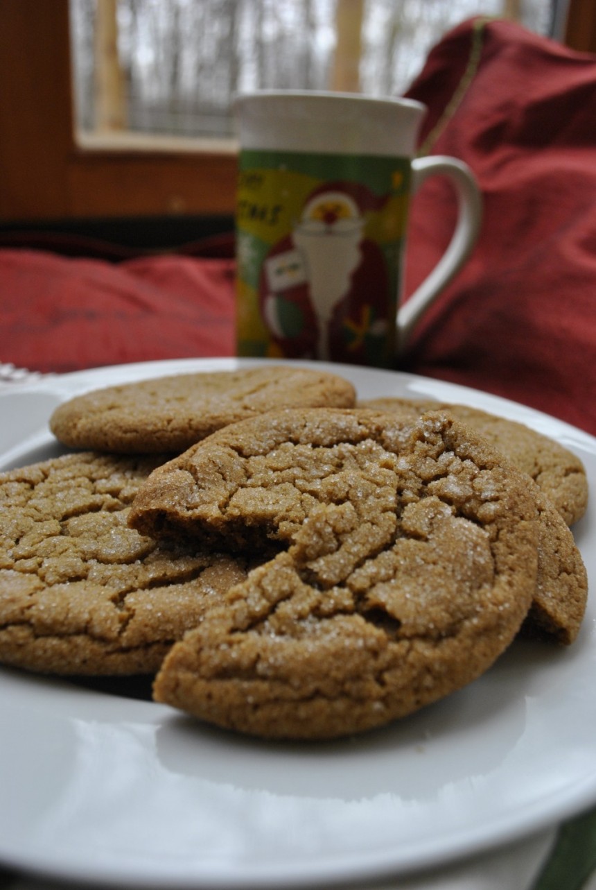 ginger cookies ginger cookies