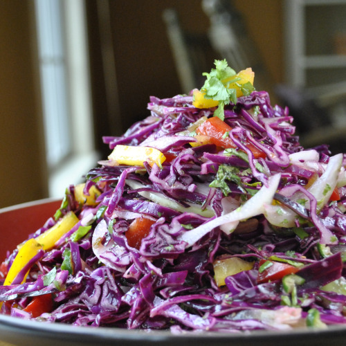 One Recipe - Four Slaws — Three Many Cooks