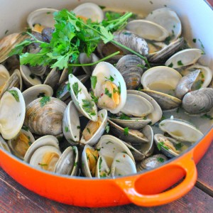 ClamsSQ