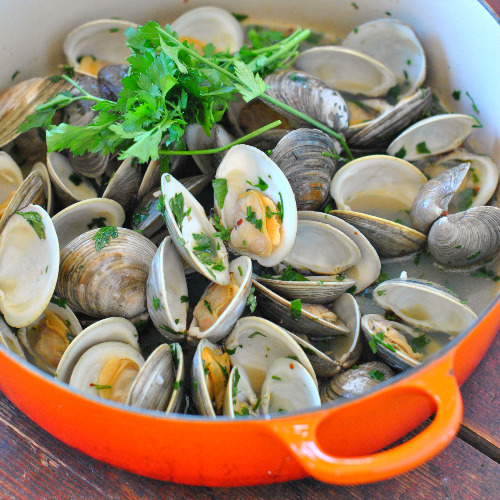 Clams with lemon and white wine