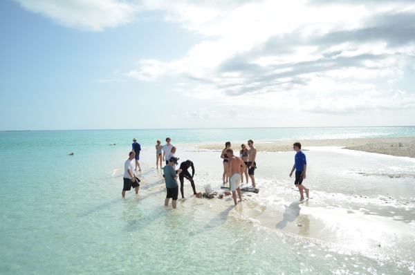 conchbeach,jpg