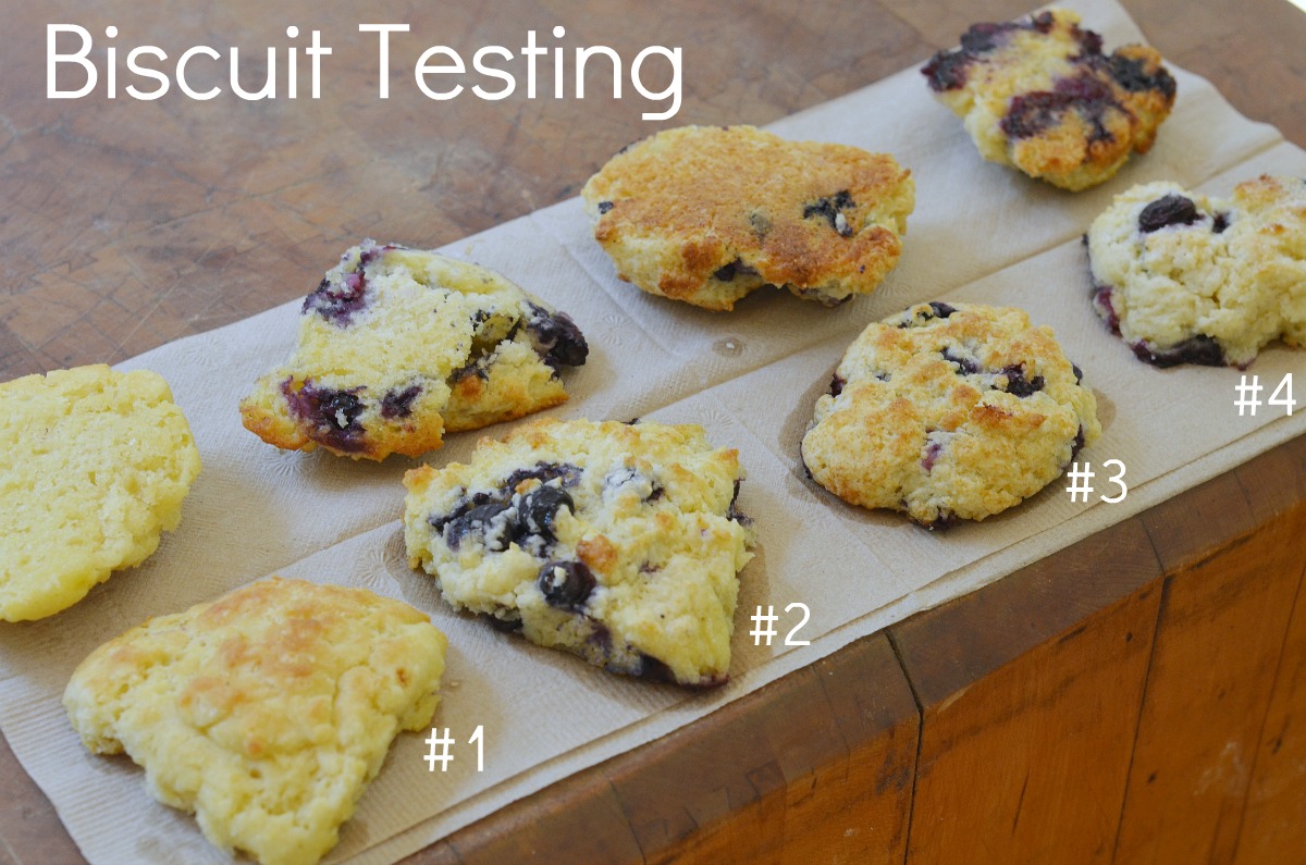 Blueberry Buttermilk Biscuits Blueberry Buttermilk Biscuits